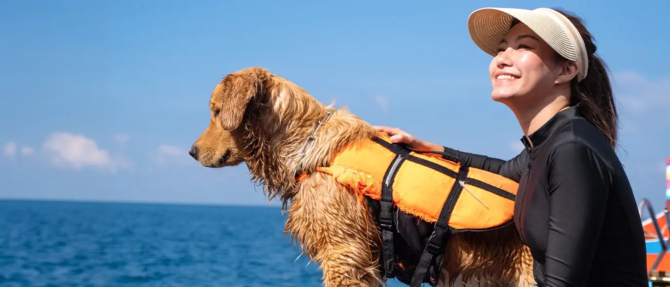 Tiere an Bord - Das musst du beachten